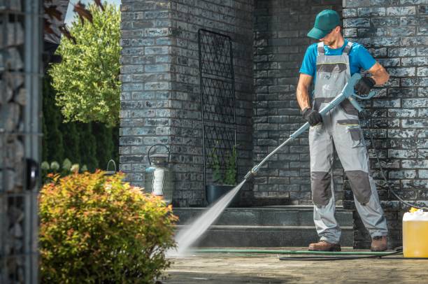 Best House Exterior Washing  in Lake Leann, MI